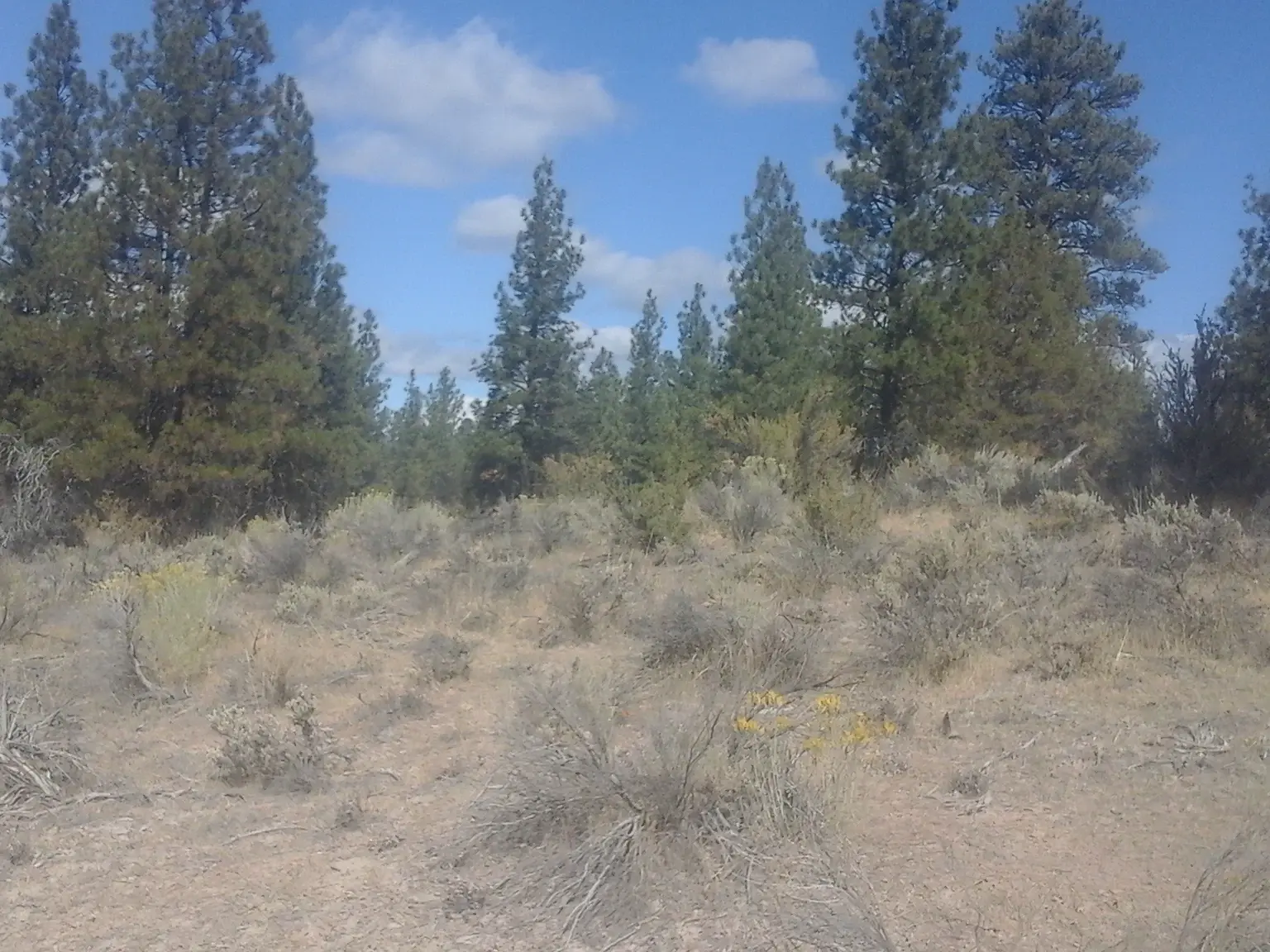 General location photo Sprague River Valley, Oregon in Klamath County — thumbnail 8