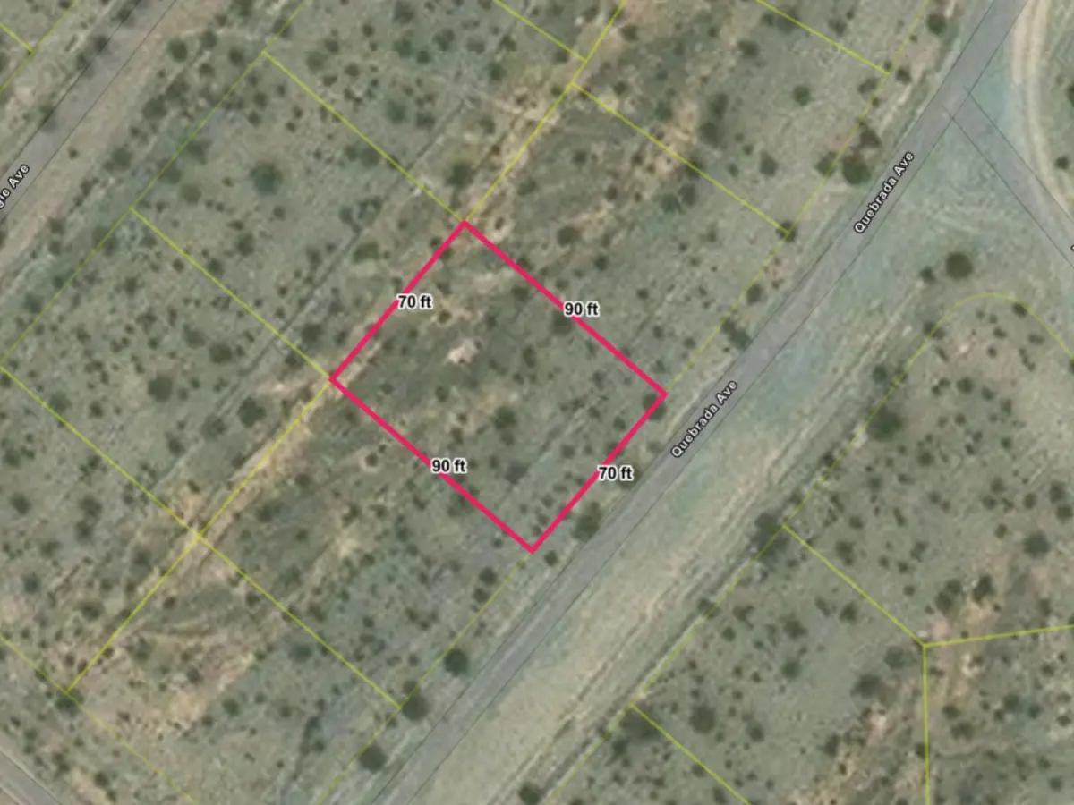 Settle in near Nevada wine country in Pahrump — thumbnail 4