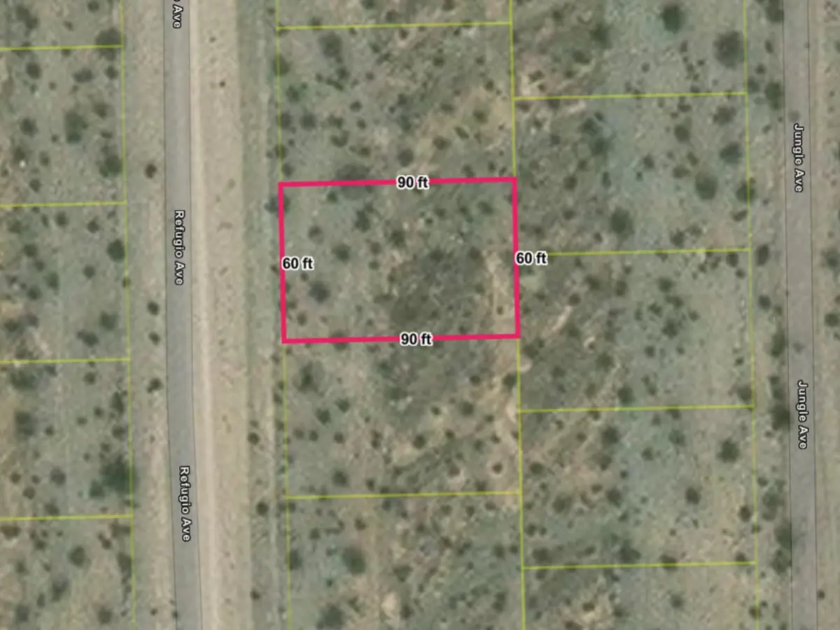 Flat 5,401-square-foot residential lot in Pahrump, NV, with power in the area — thumbnail 2