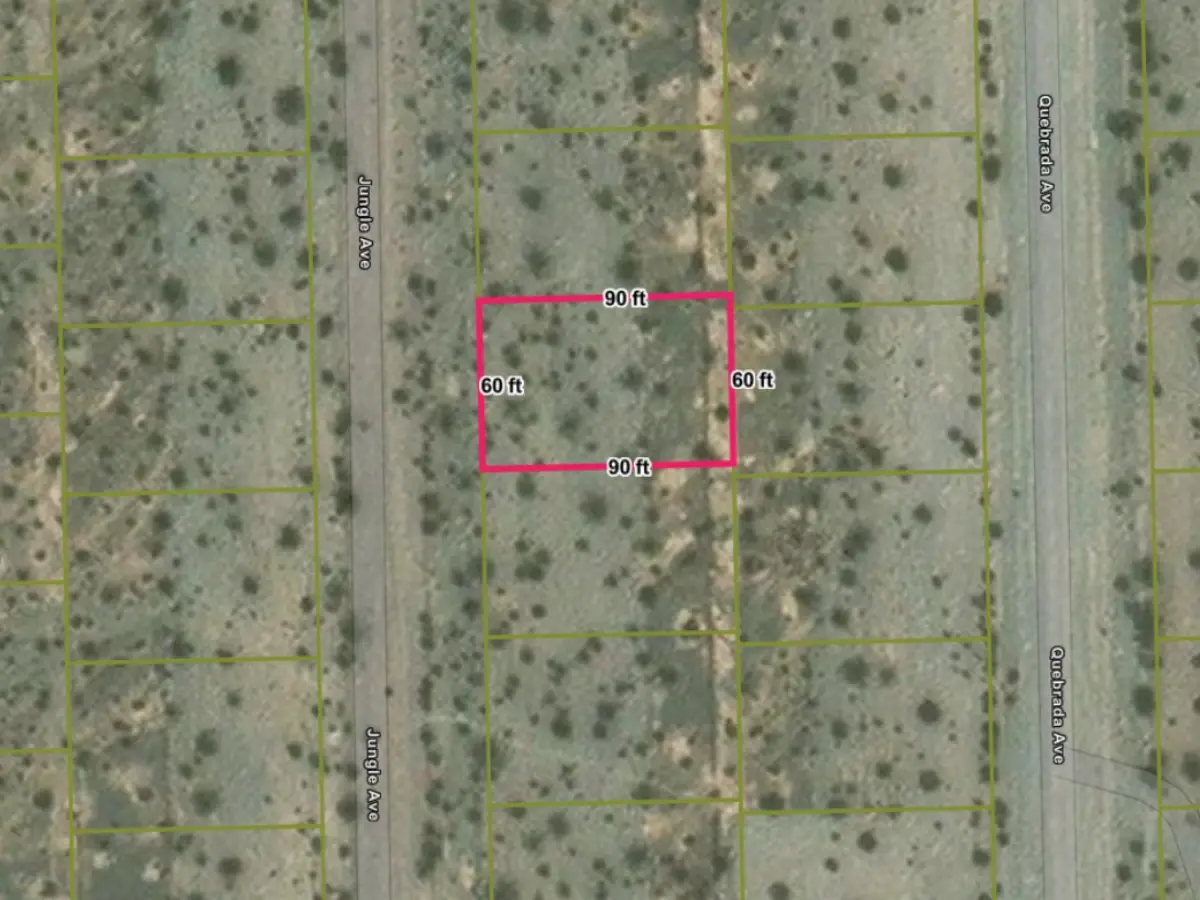 Flat, open lot in Pahrump, NV - room to settle in — thumbnail 2
