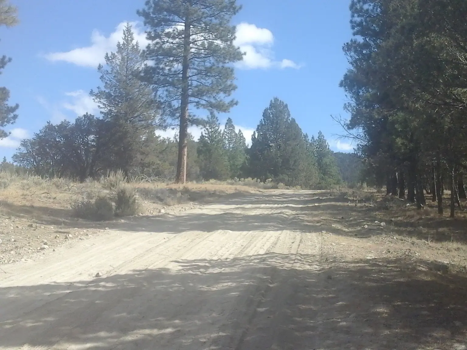 General Area Photo — thumbnail 4