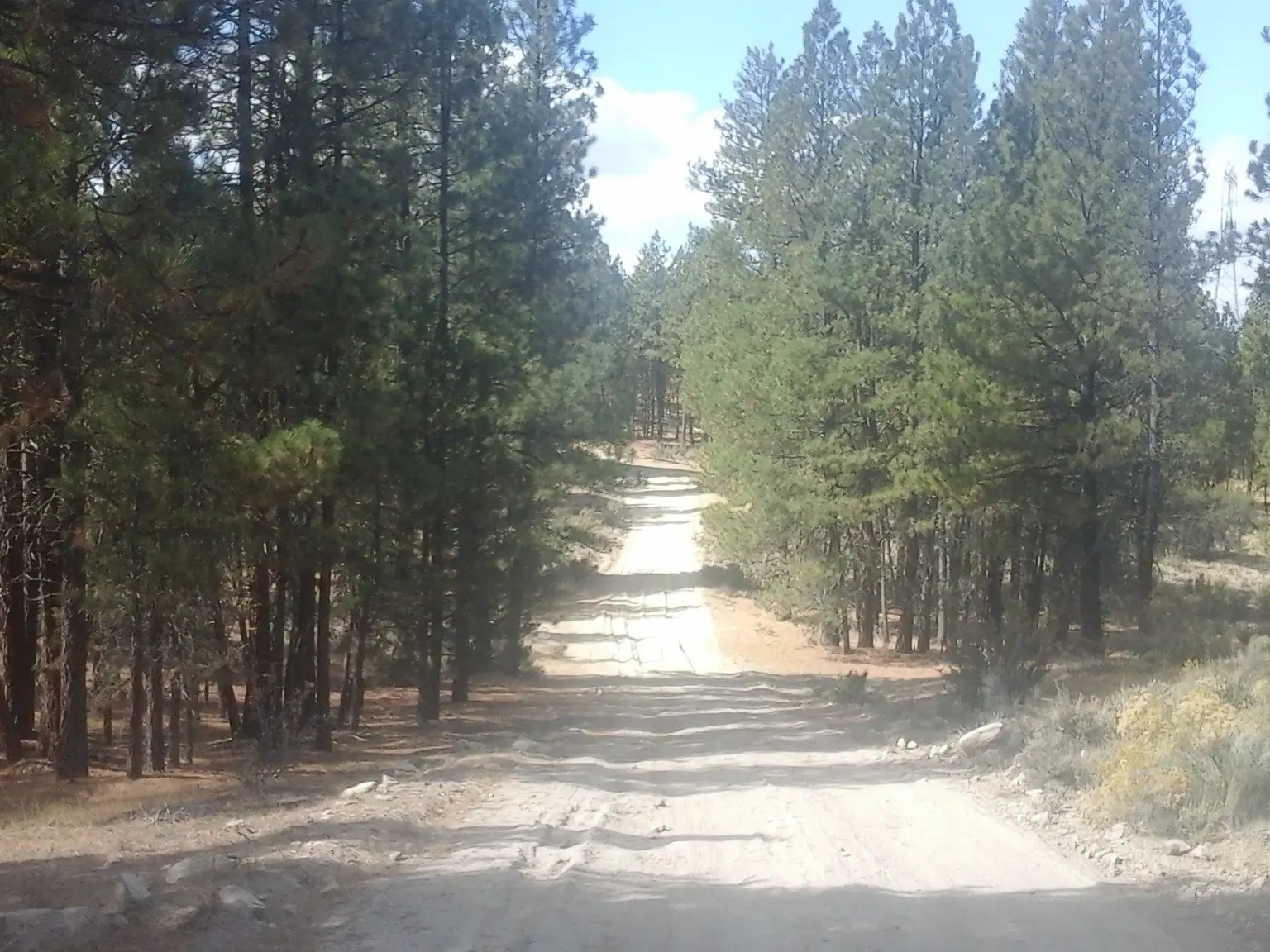 General Area Photo — thumbnail 2