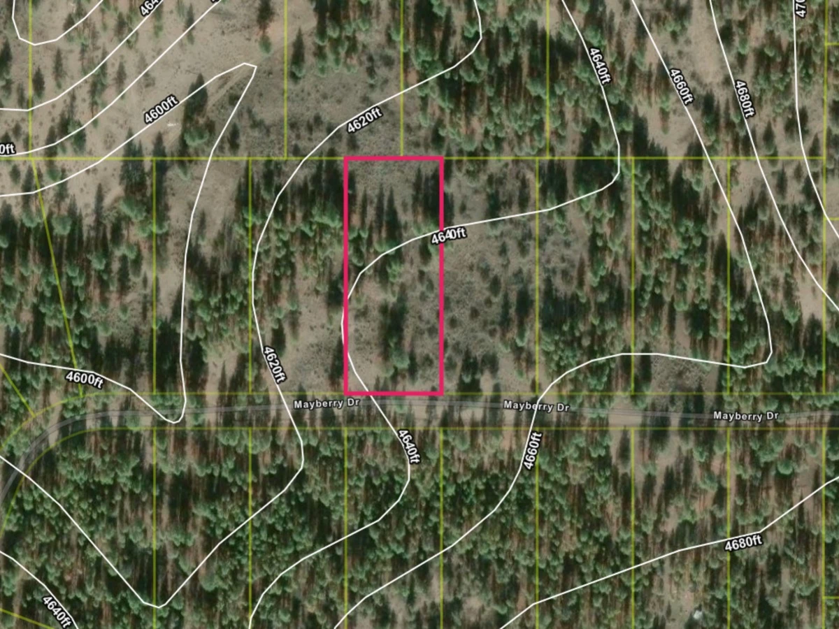 Peace, quiet, and trees on 1.47 acres along Mayberry Drive, Klamath County OR — thumbnail 6
