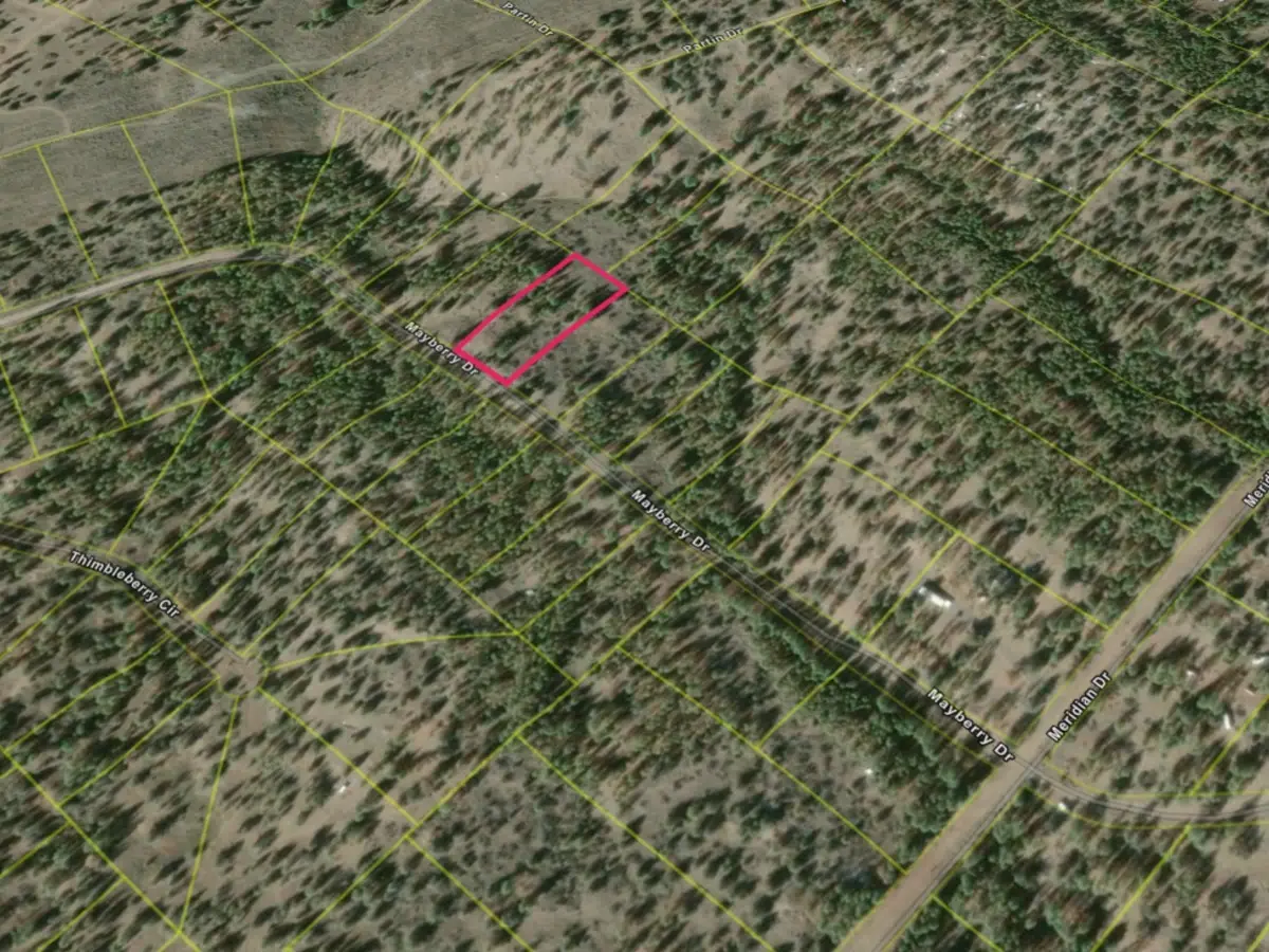 Peace, quiet, and trees on 1.47 acres along Mayberry Drive, Klamath County OR — thumbnail 7